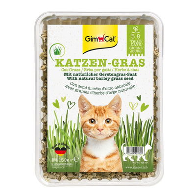 GimCat Katzengras