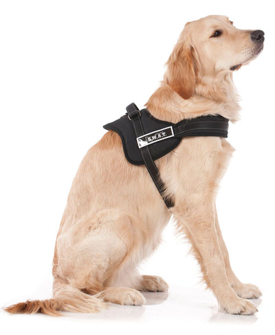 swisspet Hundegeschirr Dog-S.W.A.T,