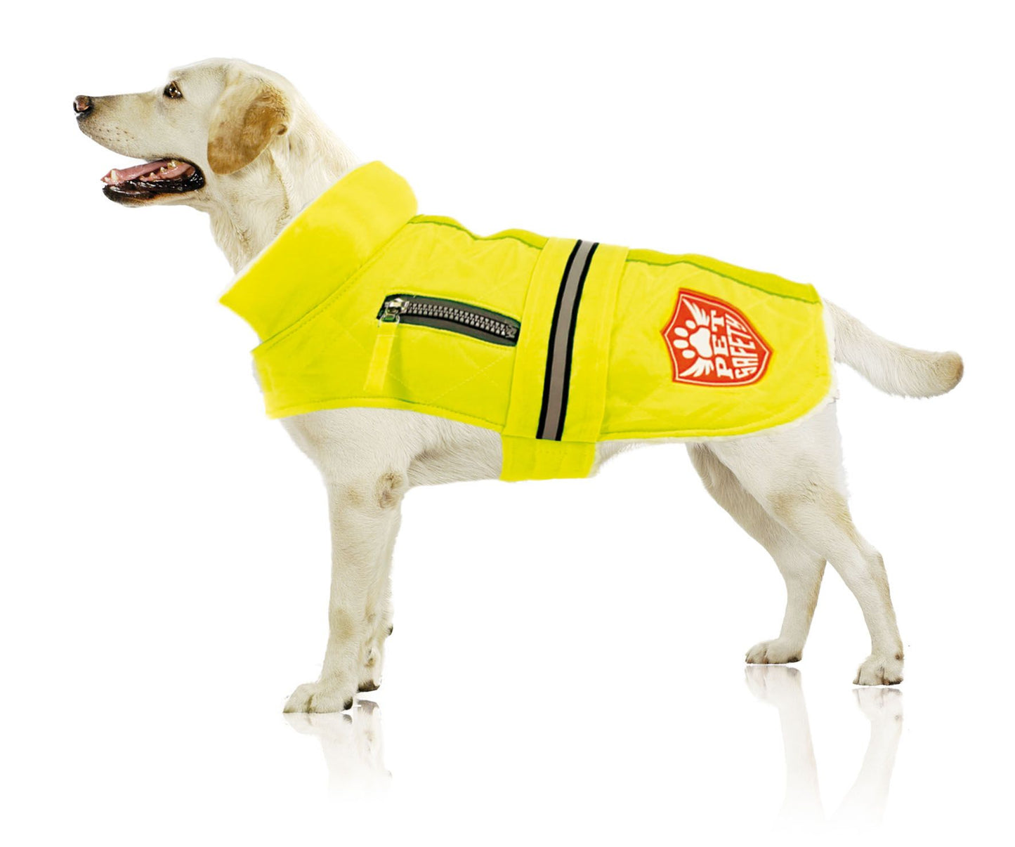 swisspet Winterhundemantel Yellowdome