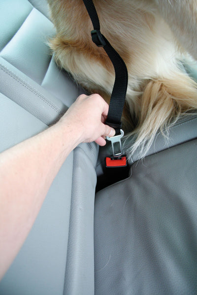 Sicherheitsgeschirr DogSafe, Gr. M, sw