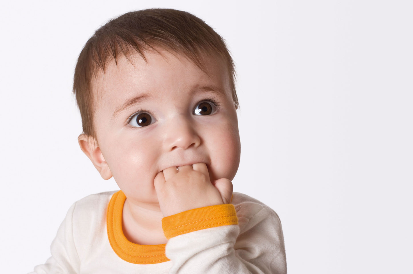 SP Absperrgitter mit Schwenktüre