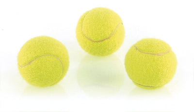 swisspet Mini-Tennisballe,3Stk., gelb