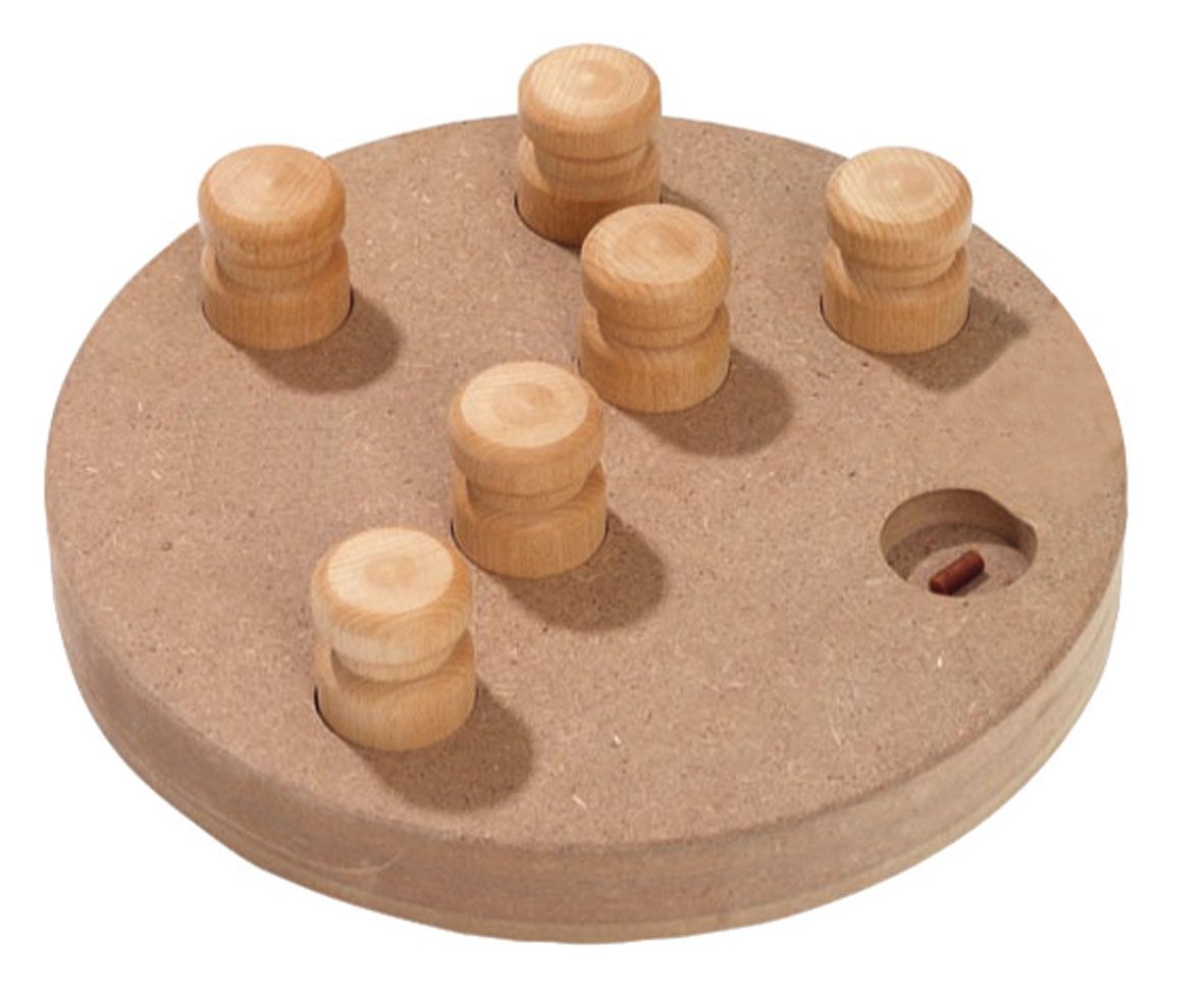 SP Doggy Hunde-Lernspielzeug,