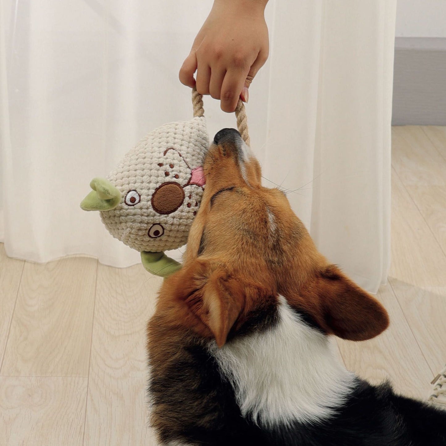 M-Pets Hundespielzeug Vigo,
