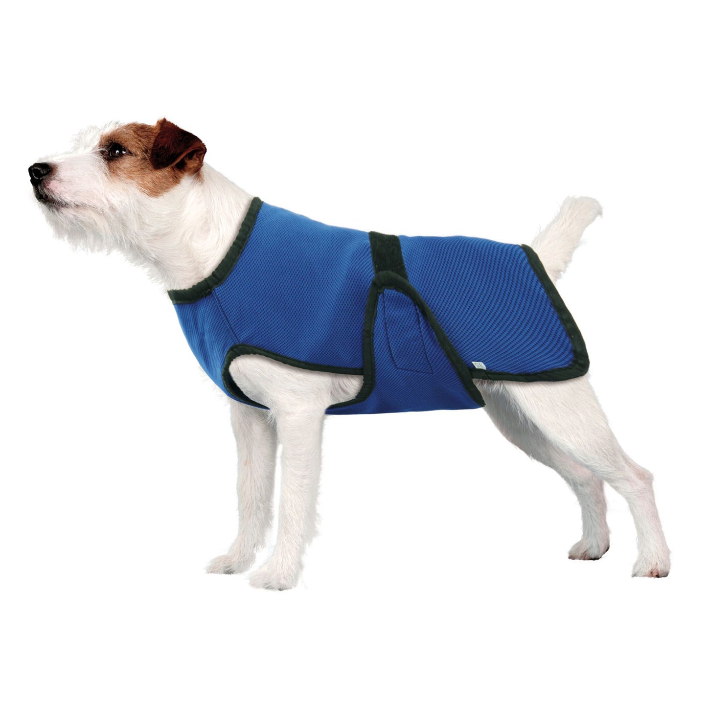 swisspet Hundekühlmantel COOL 30cm blau