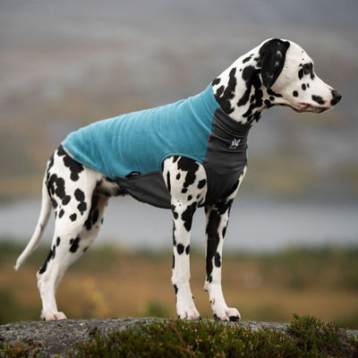 Trail quest fleece pullover, teal, Gr.45