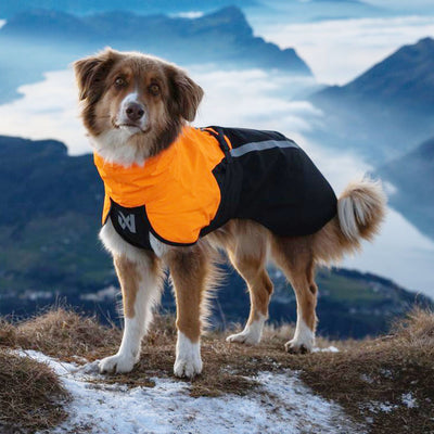 Fjord raincoat 2.0, black/orange, Gr.40