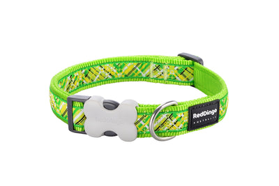 RedDingo Dog Collar Design Lime Green