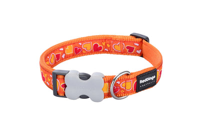 RedDingo Dog Collar Design Orange