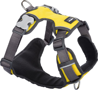 RedDingo Padded Harness Yellow