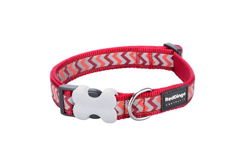 RedDingo Dog Collar Reflective