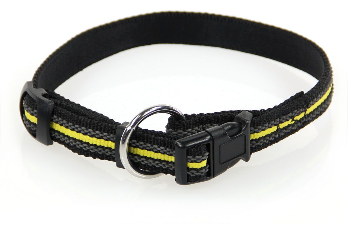 Halsband schwarz, 20mm/30-48cm
