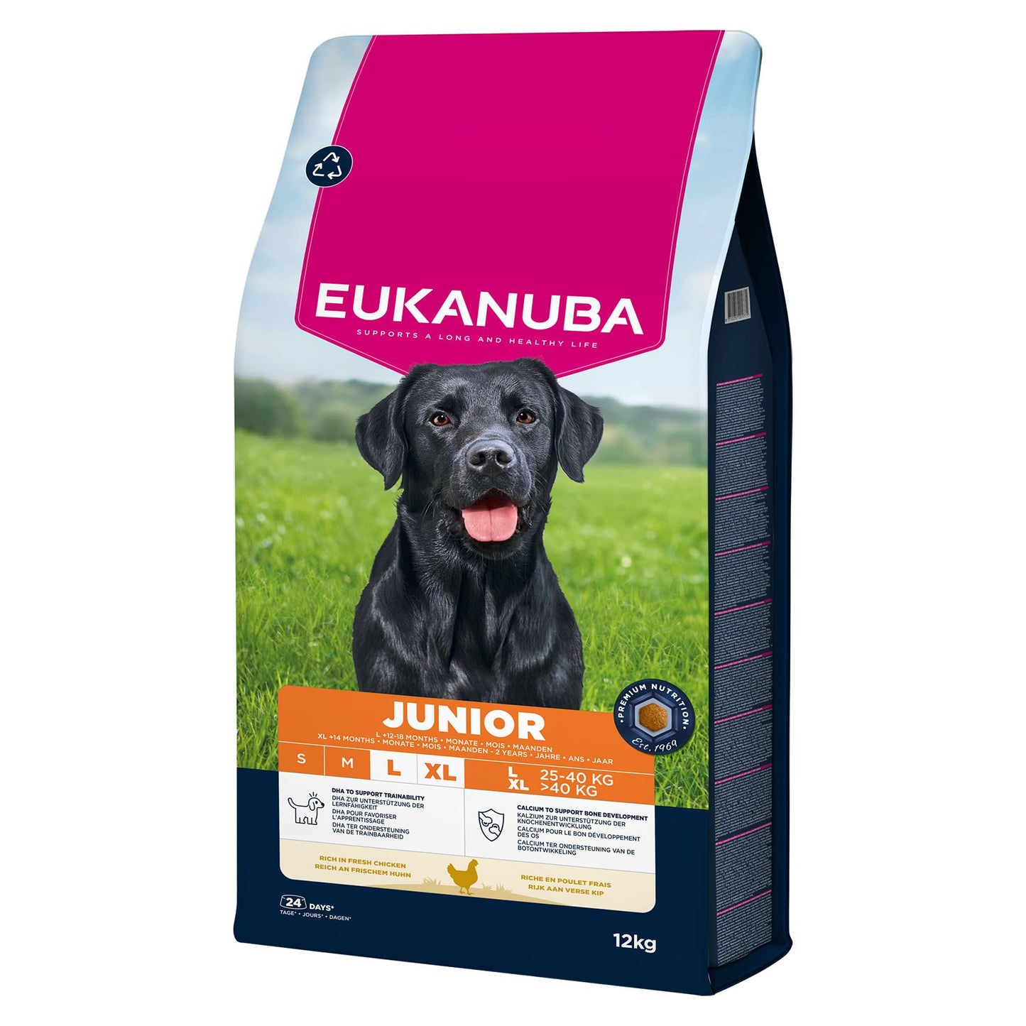 Eukanuba Junior Chicken Large