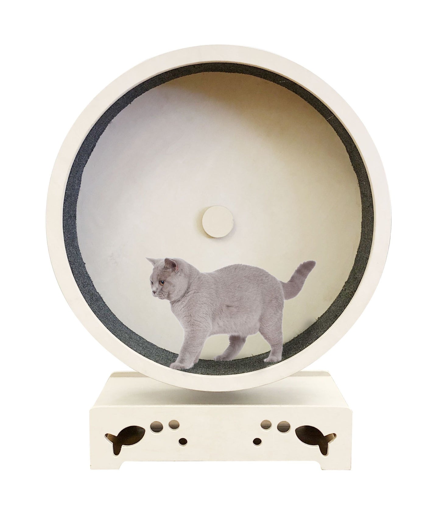 swisspet Katzenrad Rondulo 75 mit Stand
