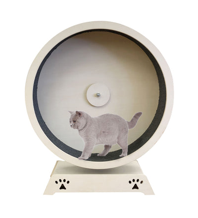 swisspet Katzenrad Rondulo 100 mit Stand