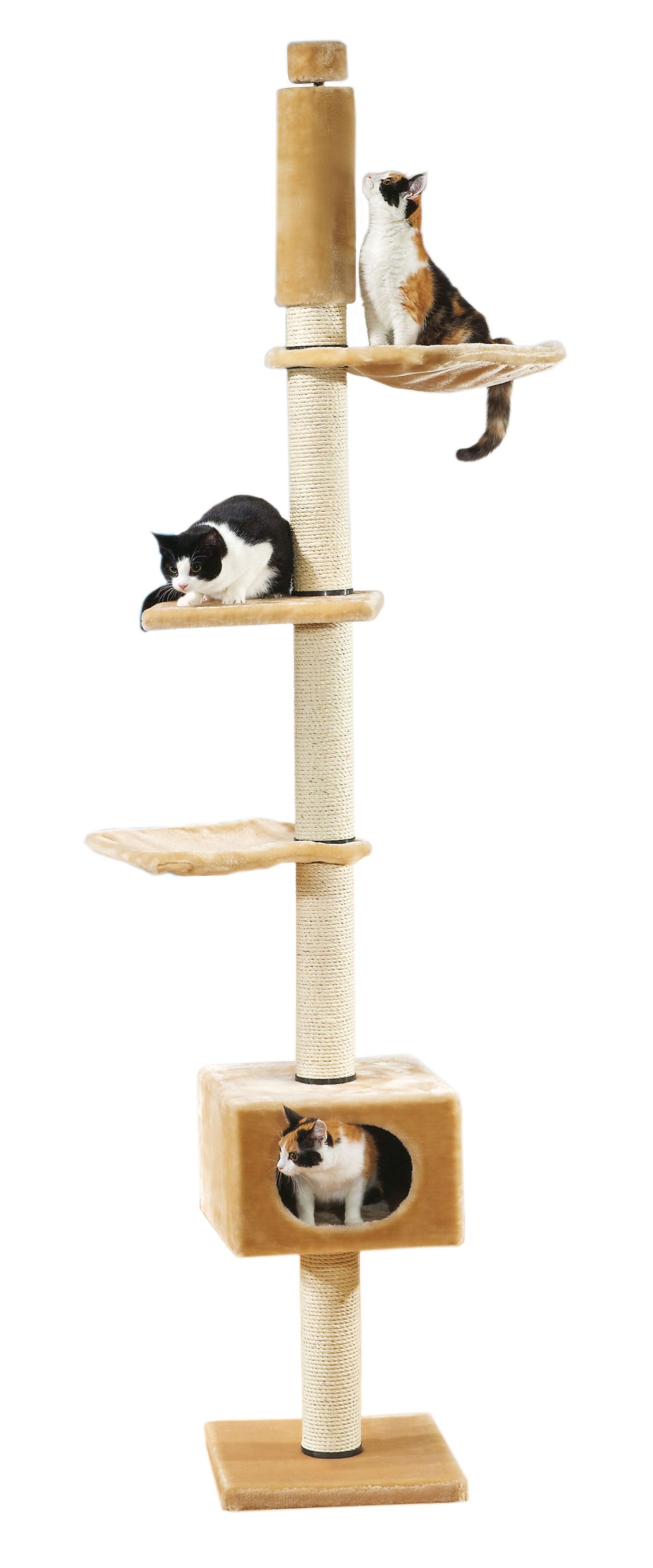 swisspet Kratzbaum Ascona, beige