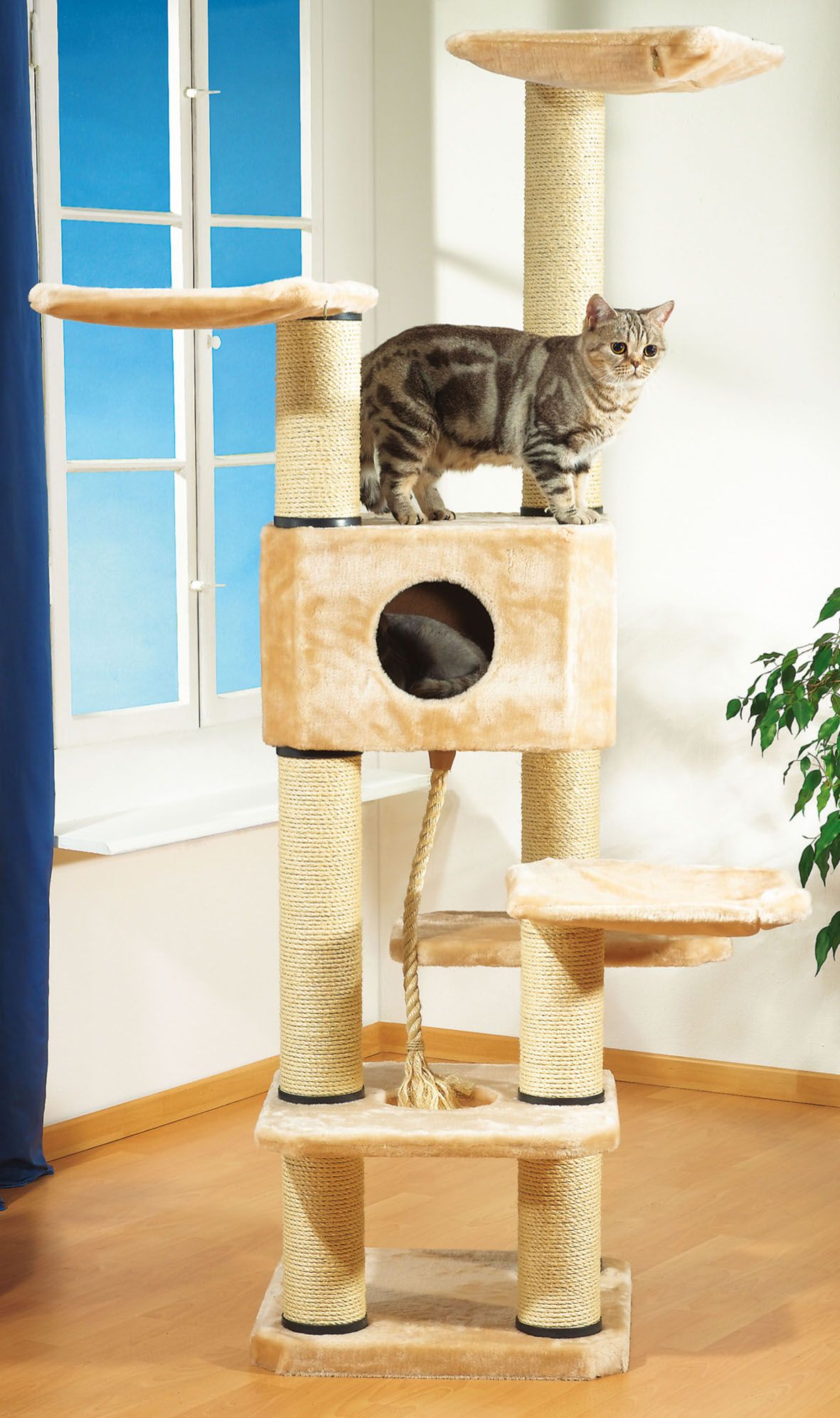 swisspet Kratzbaum Annabelle beige