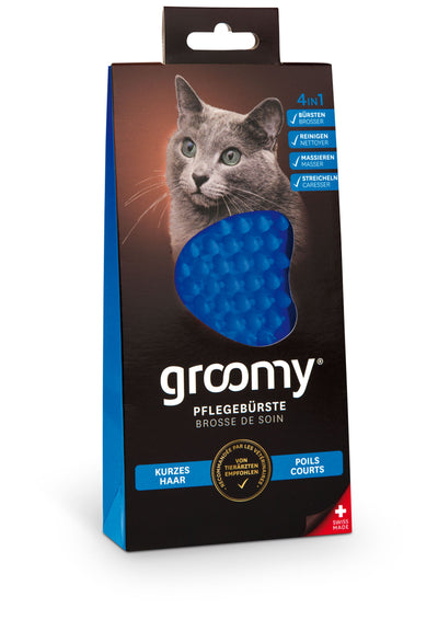 groomy cat - Kurzhaar