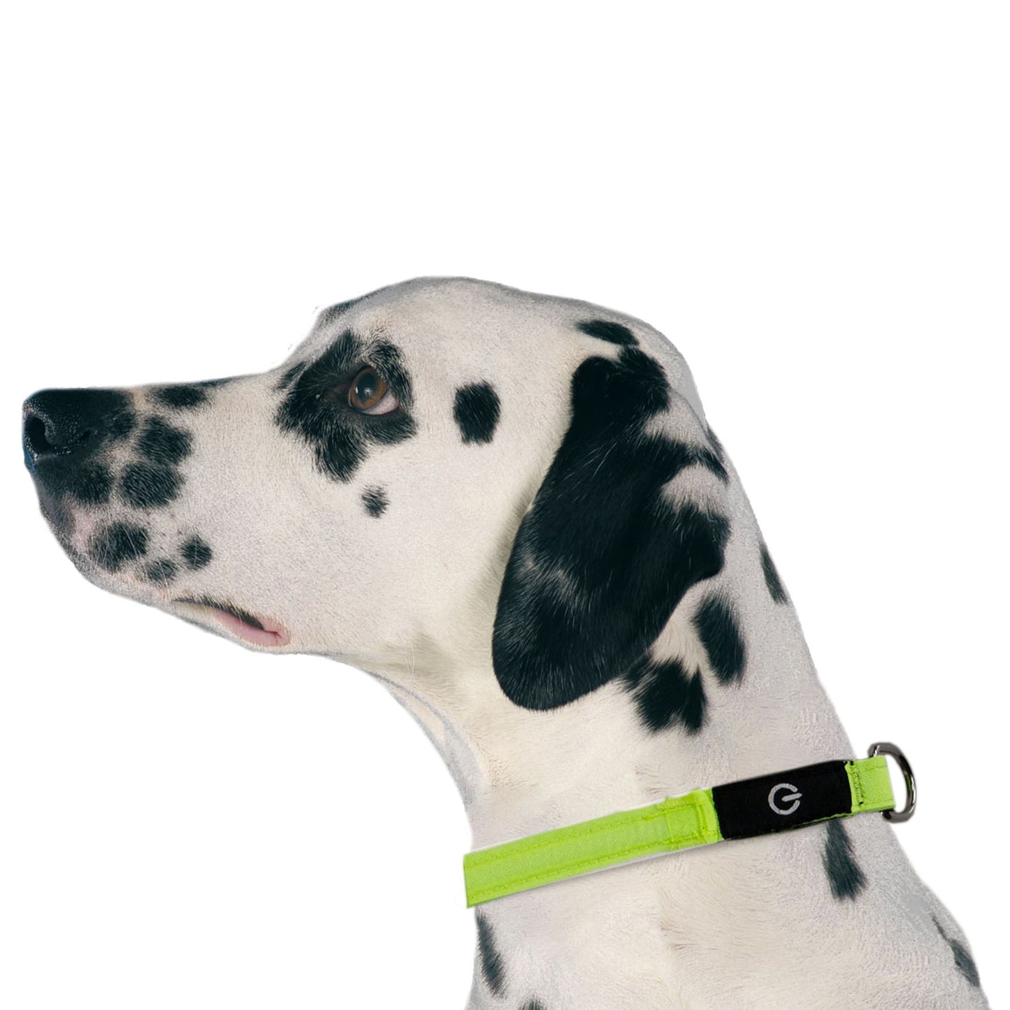 swisspet LED Leuchthalsband gelb, Gr.