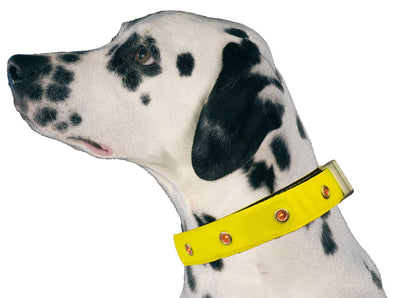 swisspet LED Leuchthalsband gelb, Gr.