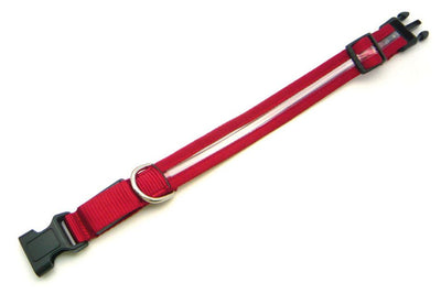 swisspet LED Leuchthalsband Redloo
