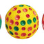 swisspet Vinyl Ball D=6cm