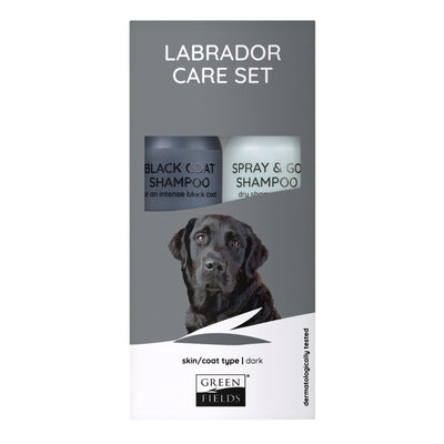 Dog Labrador Care Set