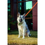 M-Pets Maulkorb XS, 14x10x4cm sw+blau