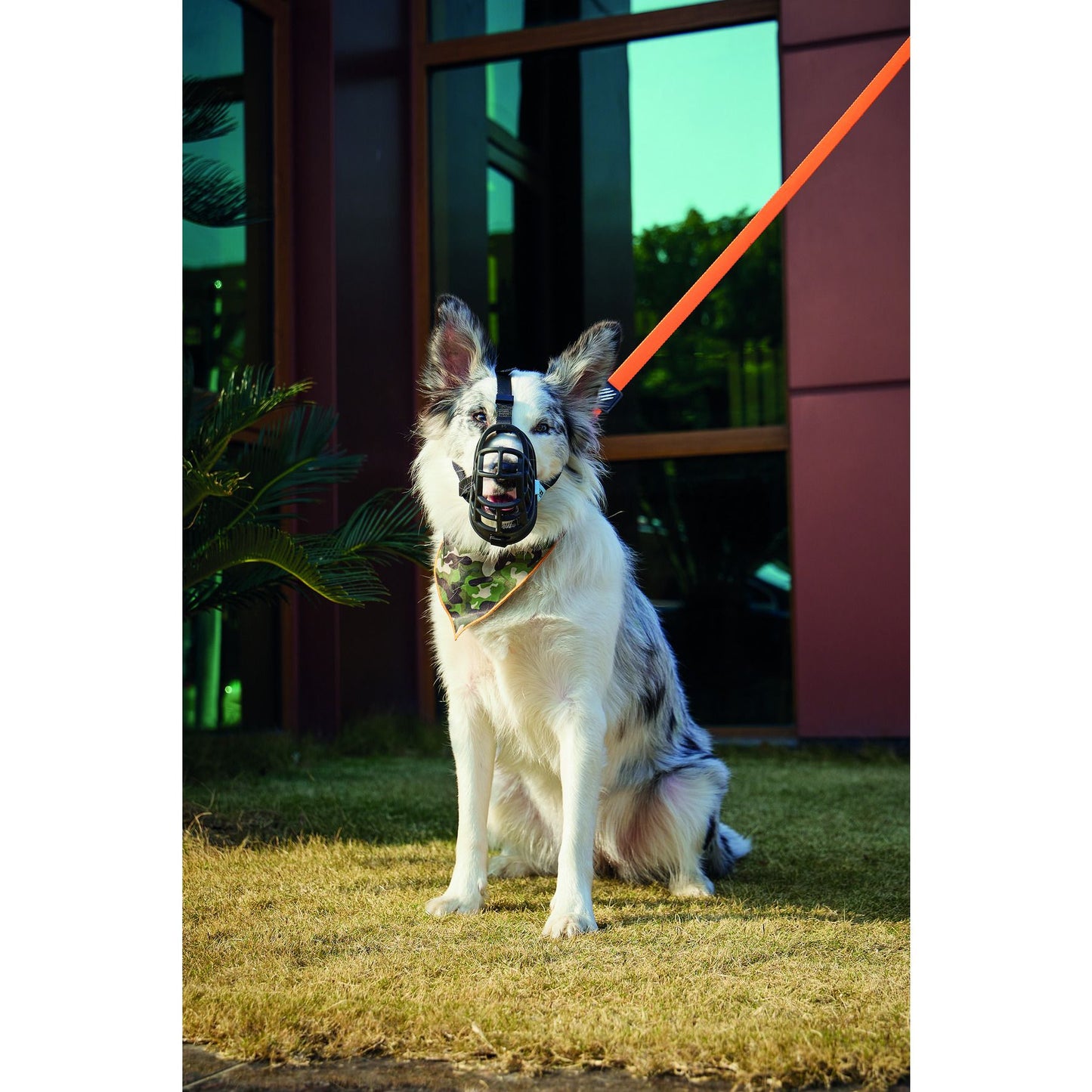 M-Pets Maulkorb XS, 14x10x4cm sw+blau