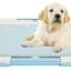 swisspet Puppy Welpen WC,