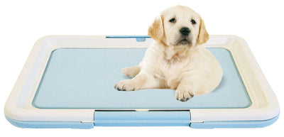 swisspet Puppy Welpen WC,