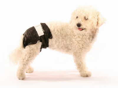 Einwegwindeln Doggy Pamys Gr.
