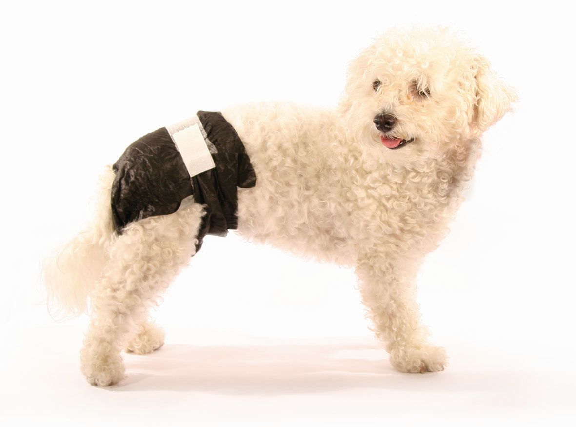 Einwegwindeln Doggy Pamys Gr.