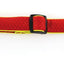 SP Halsband Active Dog rot Gr.