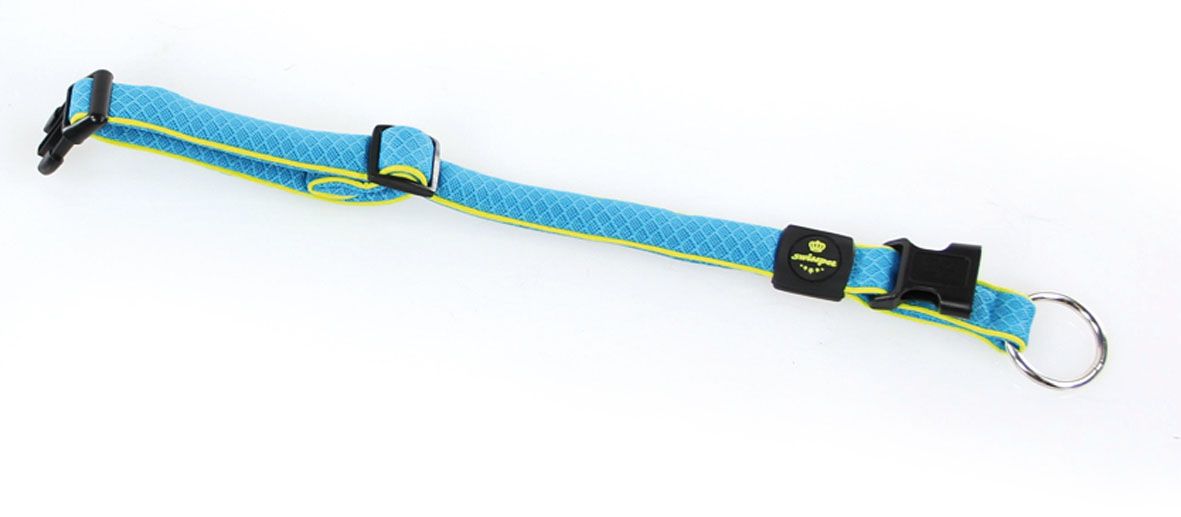 SP Halsband Active Dog blau Gr.