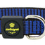 SP Halsband City Dog  Gr. S, blau