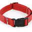 SP Lederhalsband Invito rot Gr.
