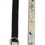 TrendLine Führleine Ying Yang,15mm/180cm