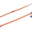 TrendLine Führerleine Boneworld,15mm Rot