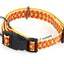 TrendLine Halsband Freccia S, orange