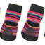 Hundesocken mit Anti-Slip Pinkies,