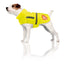 swisspet Winterhundemantel Yellowdome
