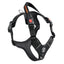 TrePonti Geschirr Harmonia Black