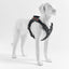 TrePonti Geschirr Harmonia Black