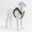 TrePonti Geschirr Harmonia Lime