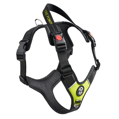 TrePonti Geschirr Harmonia Lime