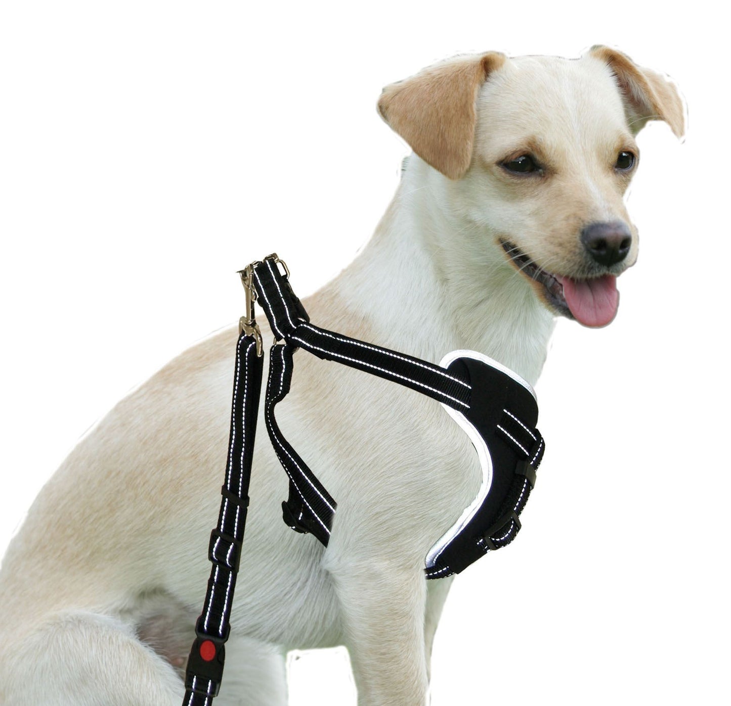 Sicherheitsgeschirr DogSafe, Gr. M, sw