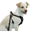Sicherheitsgeschirr DogSafe, Gr. M, sw