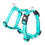 Max&Molly Comfort-H-Harness türkis/XS