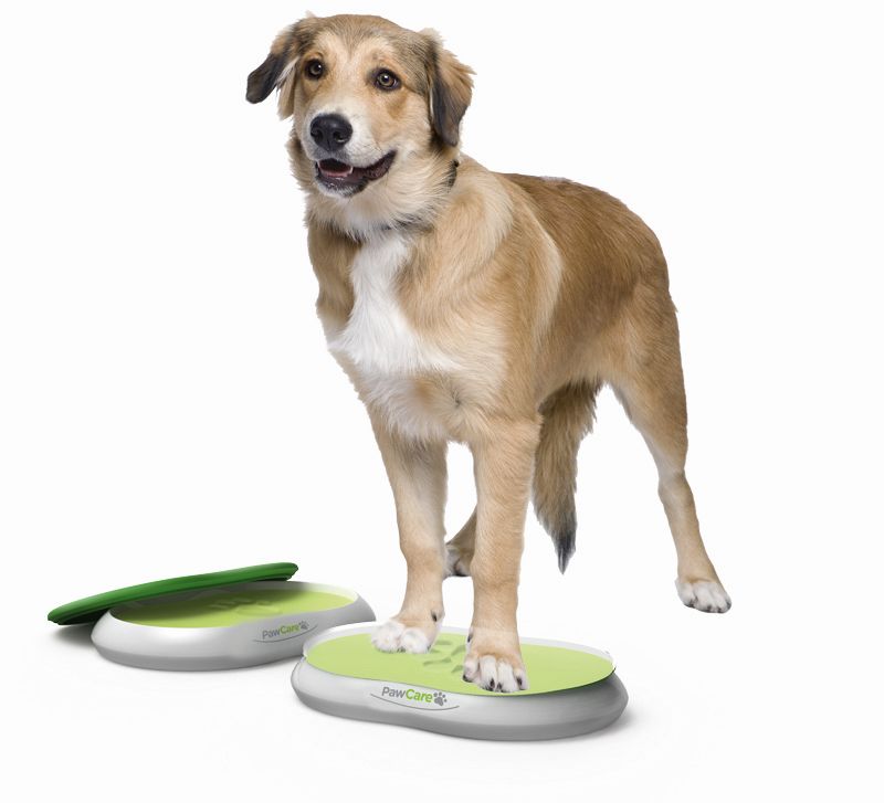PawCare Large Bone Shape 380gr.